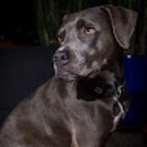 Meet your Posher, Aron